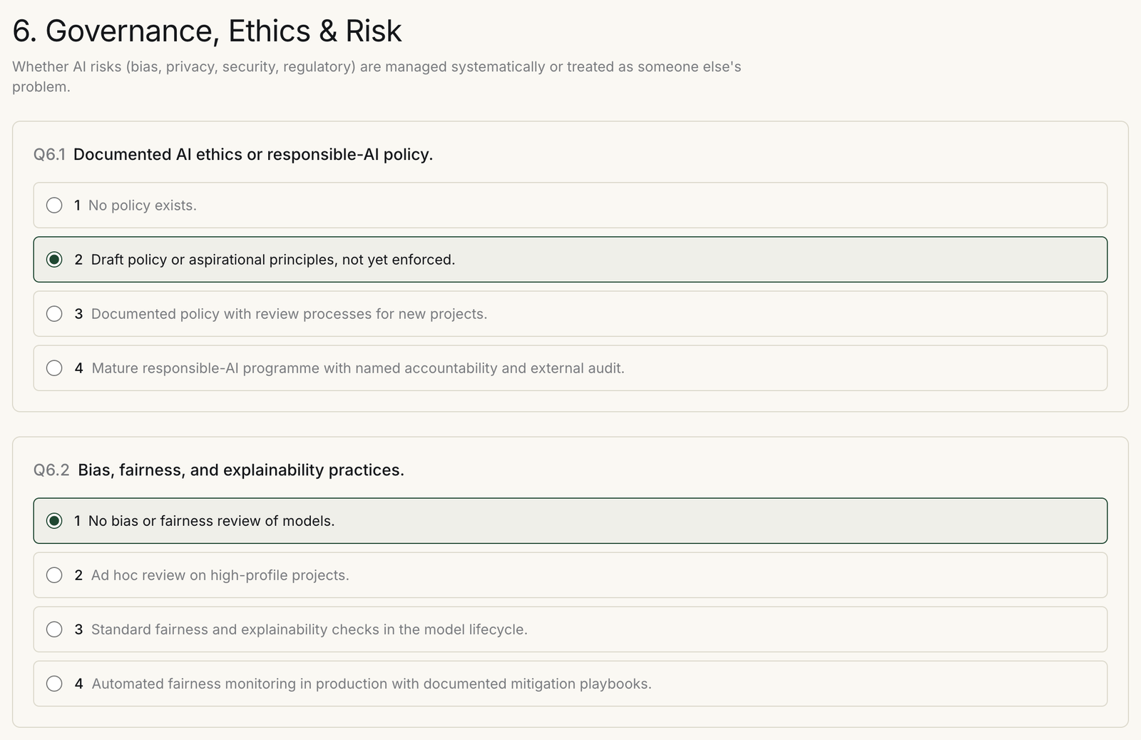Governance, Ethics and Risk section with a draft unenforced responsible-AI policy selected and no bias or fairness review selected